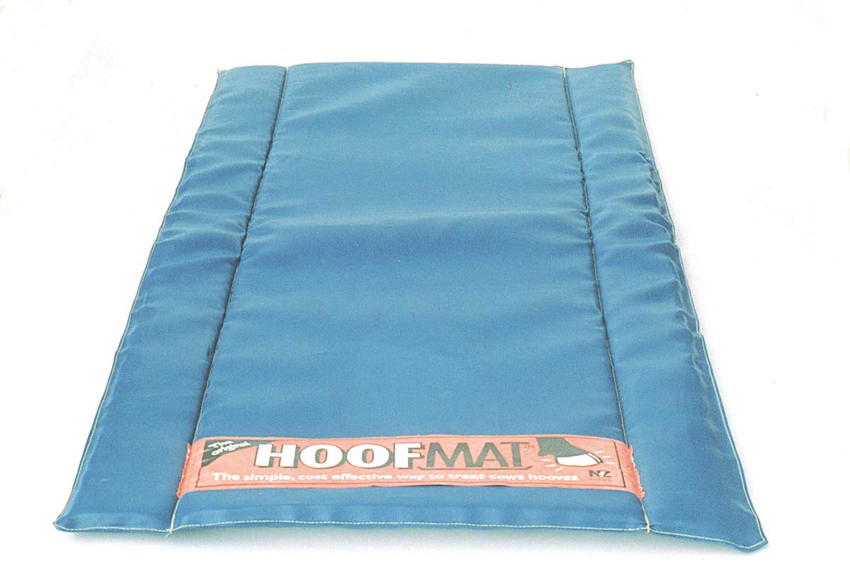 Pédiluve bleu Premium