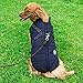 Aiboria Hundejacken für den Winter Winddicht Wasserdicht 2 in 1 Outfit Kaltwettermantel Hundewestengeschirr Welpen Winter Warme Jacke Kleines Blau L