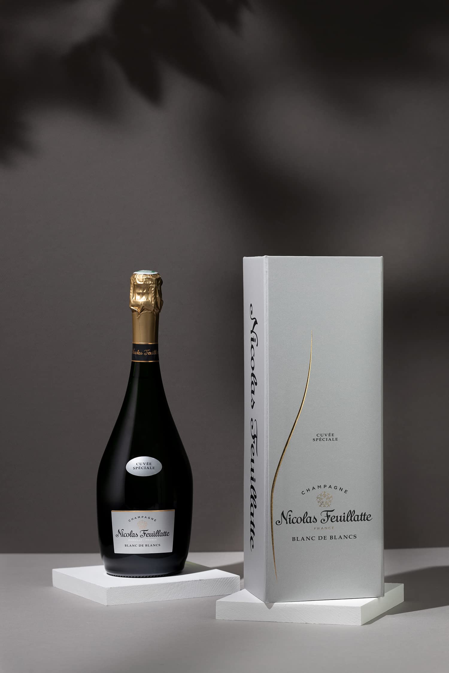 Champagne Nicolas Feuillatte - Cuvée Spéciale Blanc de blancs 75cl en coffret