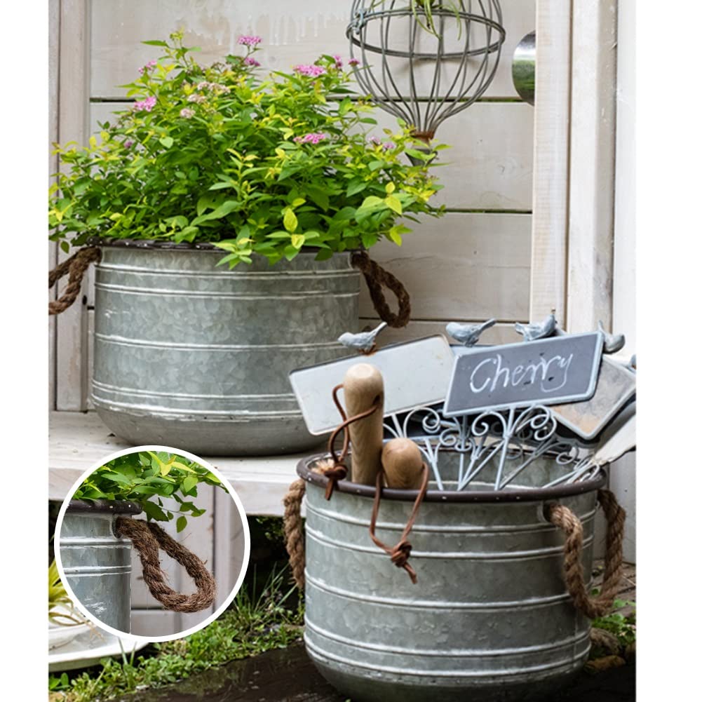 Nike Basketball Sneakers Maceta Barro Color Natural Maceta Grande Plantas  Flores | Cuotas Sin Armario Jardin, image size:1001x1001