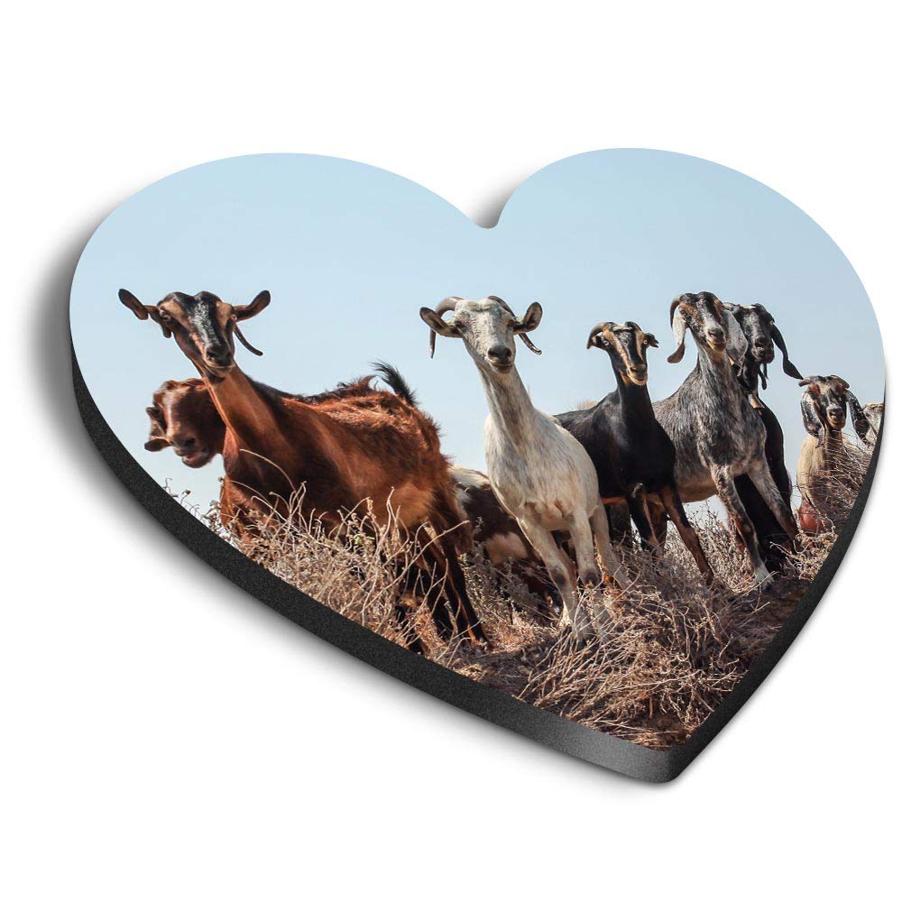 Destination Vinyl Ltd Multicolor 1 X Heart Mdf Magnets - Herd Of Goats Wild Animal Goat 45318