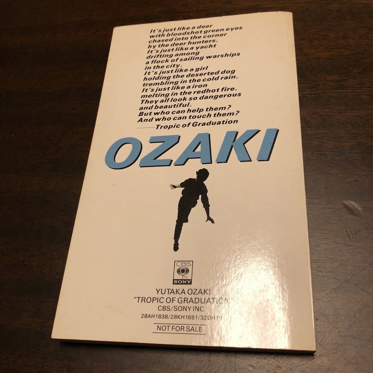 尾崎豊 Teen Beat BOOK 1 約100P 幻のアイテム 本 15の夜 シンガー