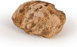 Natural Aquarium Pumice Rock - 2 Pieces - Approx. Size Each: 3.5 x 2.75 x 2 inch