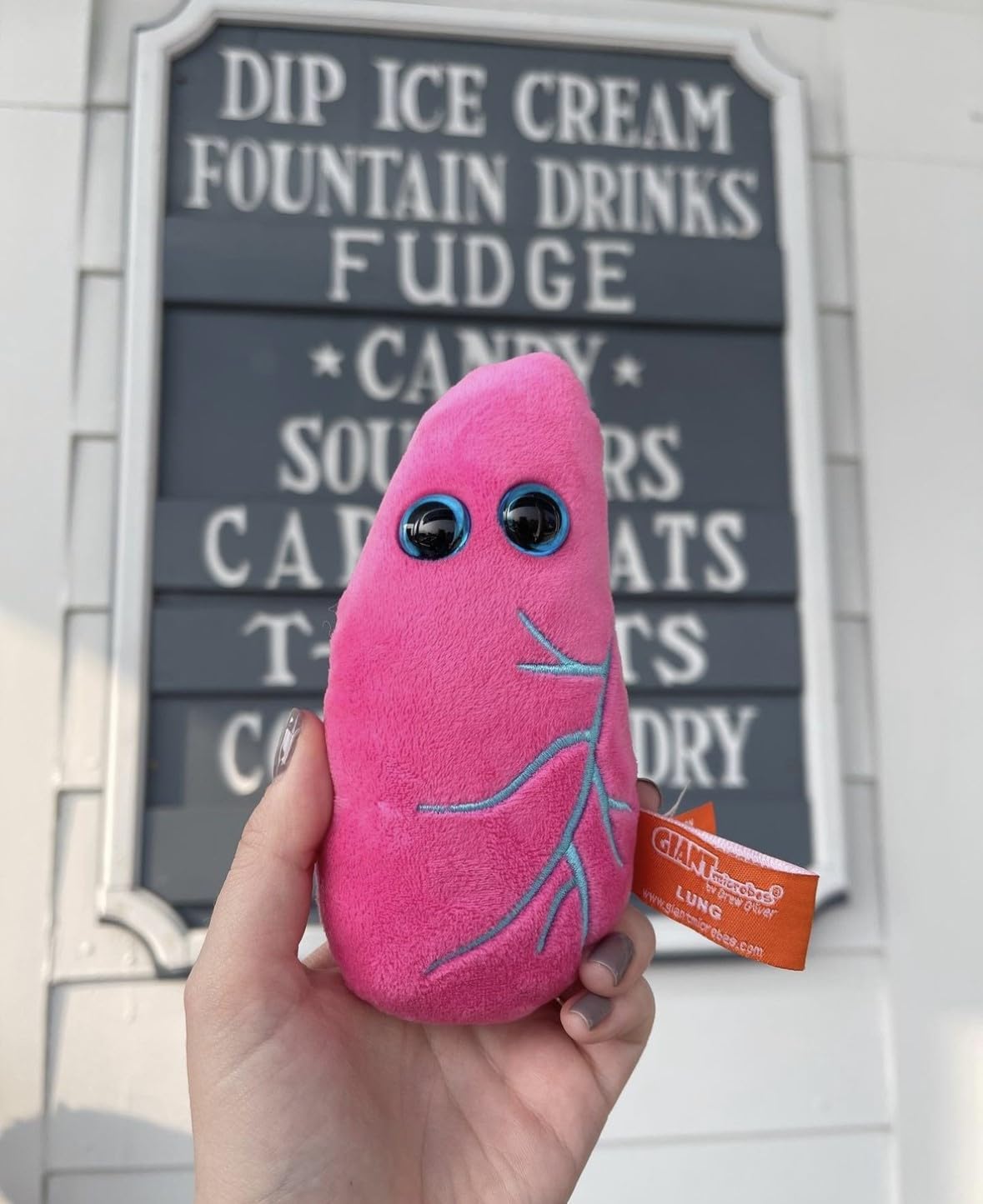 GIANT MICROBES Lung Plush, Respiratory Therapist Gifts, Pulmonology Gifts, Respiratory Therapy, Lung Cancer Survivor Gift, Anatomy Model - Image 6