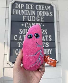 61gt5KVYC3L._AC_UF350,