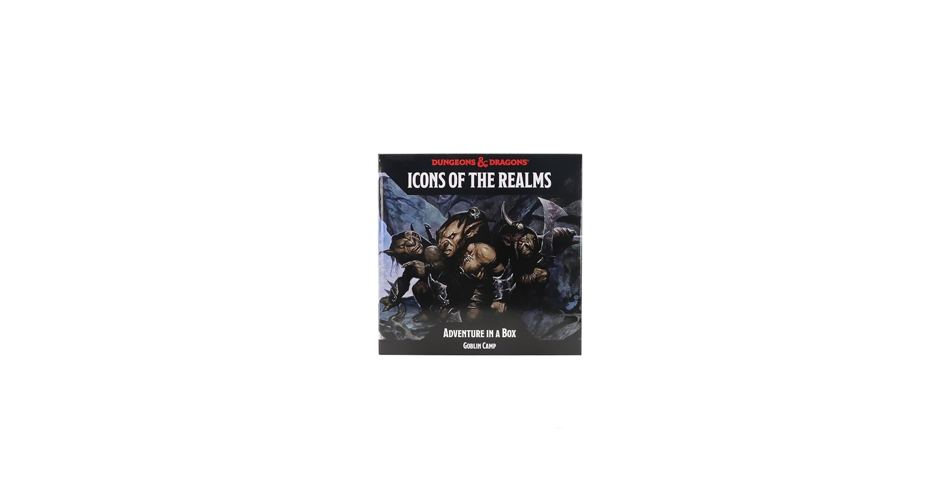 Amazon.com: WizKids D&D Icons of The Realms: Adventure in a
