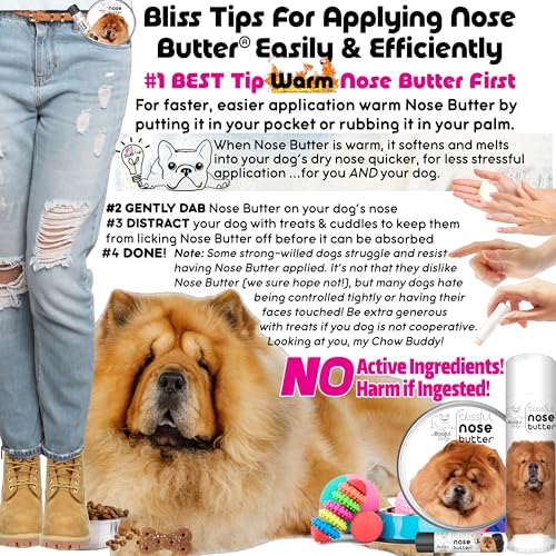 Image of The Blissful Dog Chow Nose Butter for Dry, Cracked Skin, Lick-Safe Dog Nose Balm with Moisturizing Shea Butter, Almond, Olive, and Essential Oils, Pet Supplies, Uncented, 0.50 oz.