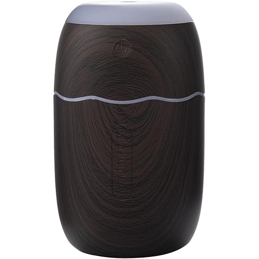 HEAVENGLOW Compact Mist Purifier Nano Diffuser LED Lamp Pers
