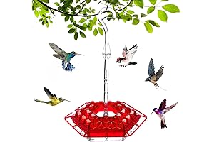 ShareM Hummingbird Feeder with 30 Flower Shaped Feeding Ports