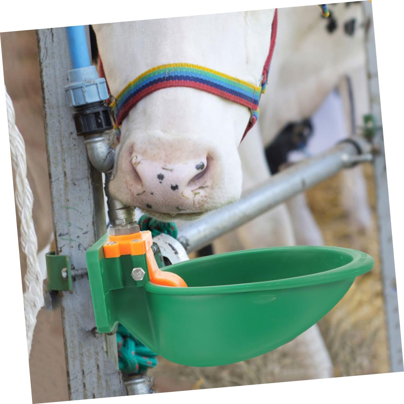 Ciotola Automatica per Bere per Bestiame 2 Pezzi Plastico Verde | Forma a Ciotola, Manutenzione Semplice, Uso in Ambienti Agricoli E'aperto per Bovini Eevamenti