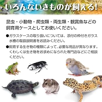 ◯ゲックス ガラスケース&カバーセット 400Low | ジェックス株式会社