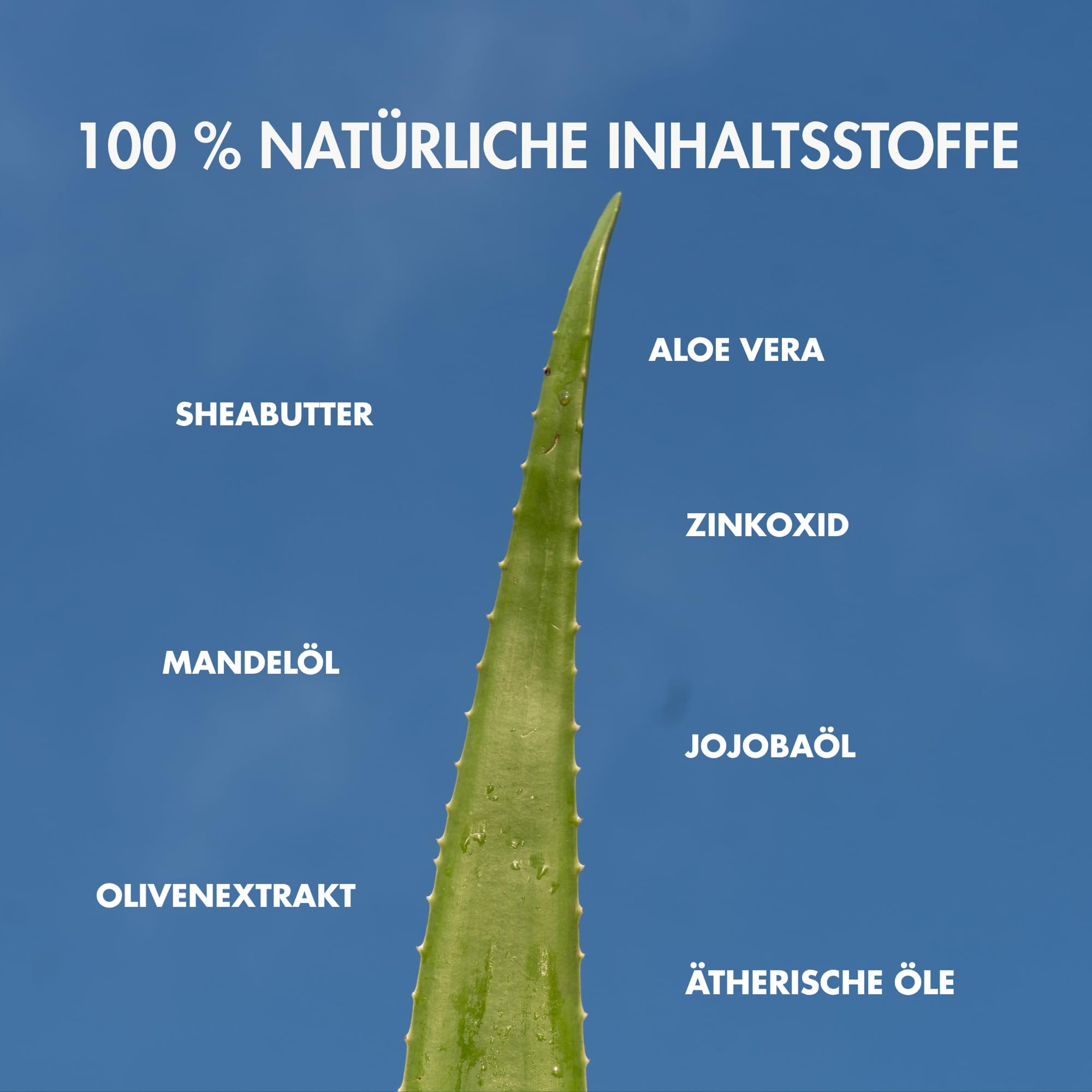 Mineralische Sonnencreme 200ml x 4 - Natürliche Sonnencreme | Sonnenschutz - Mineral Sunscreen - Ohne synthetische Duftstoffe - Für empfindliche Haut geeignet - LSF 30+ Non-Nano Zinkoxid