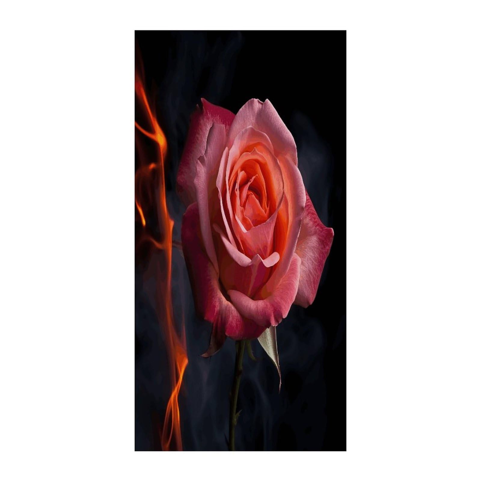 KHAUERBC Rose4 Blackout Curtains for Light Filtering Doorway Curtains .Room Divider Curtain As Sliding Door/Closet/Patio。French Door Curtain 70 * 35.4 Inch for Home Decors.