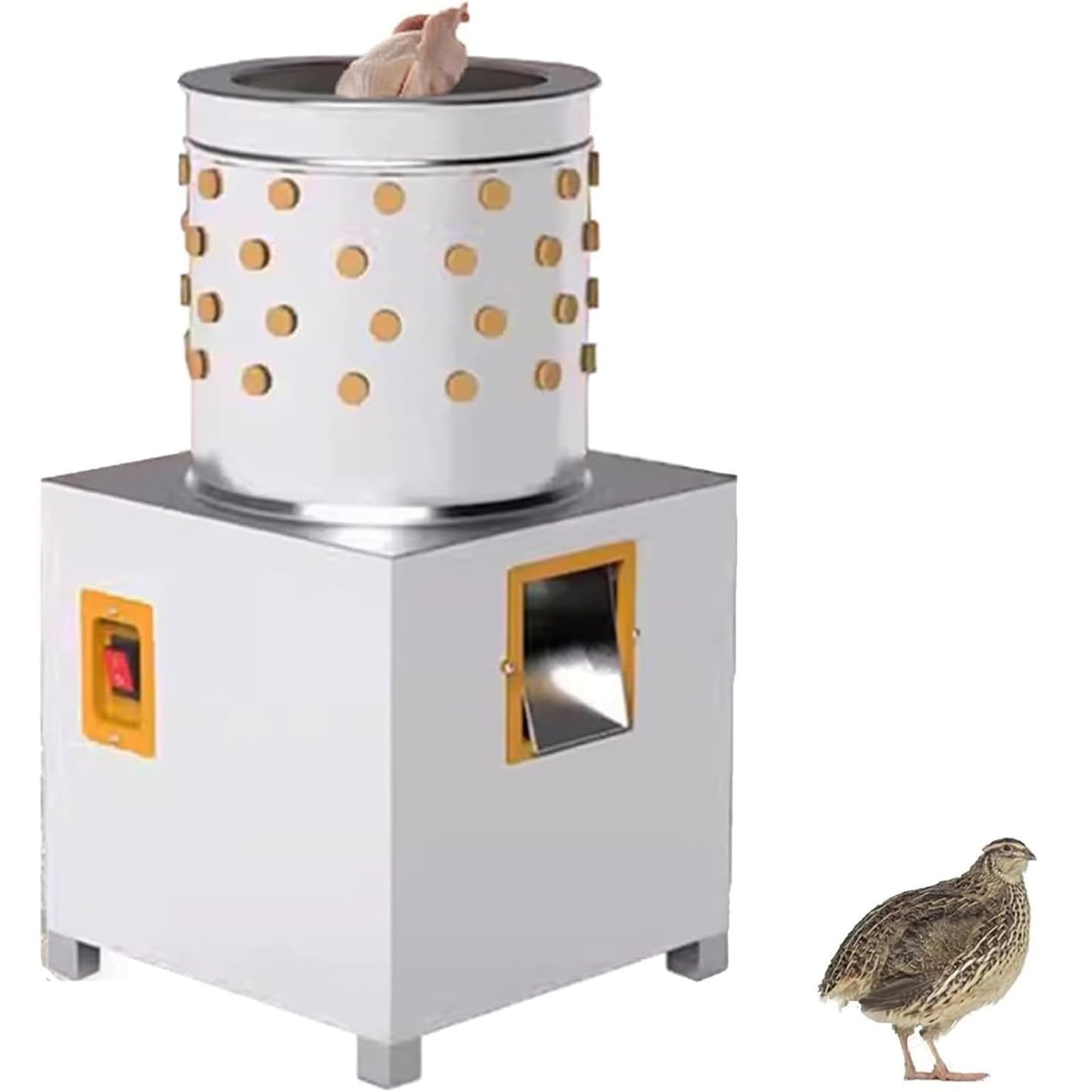 Efficiente pulcatore per pollame, in acciaio inox da 210 W, 1440 giri/min, rimozione rapida delle piume per quaglie fino a 0,5 kg, processi in 30 secondi, ideale per uso domestico