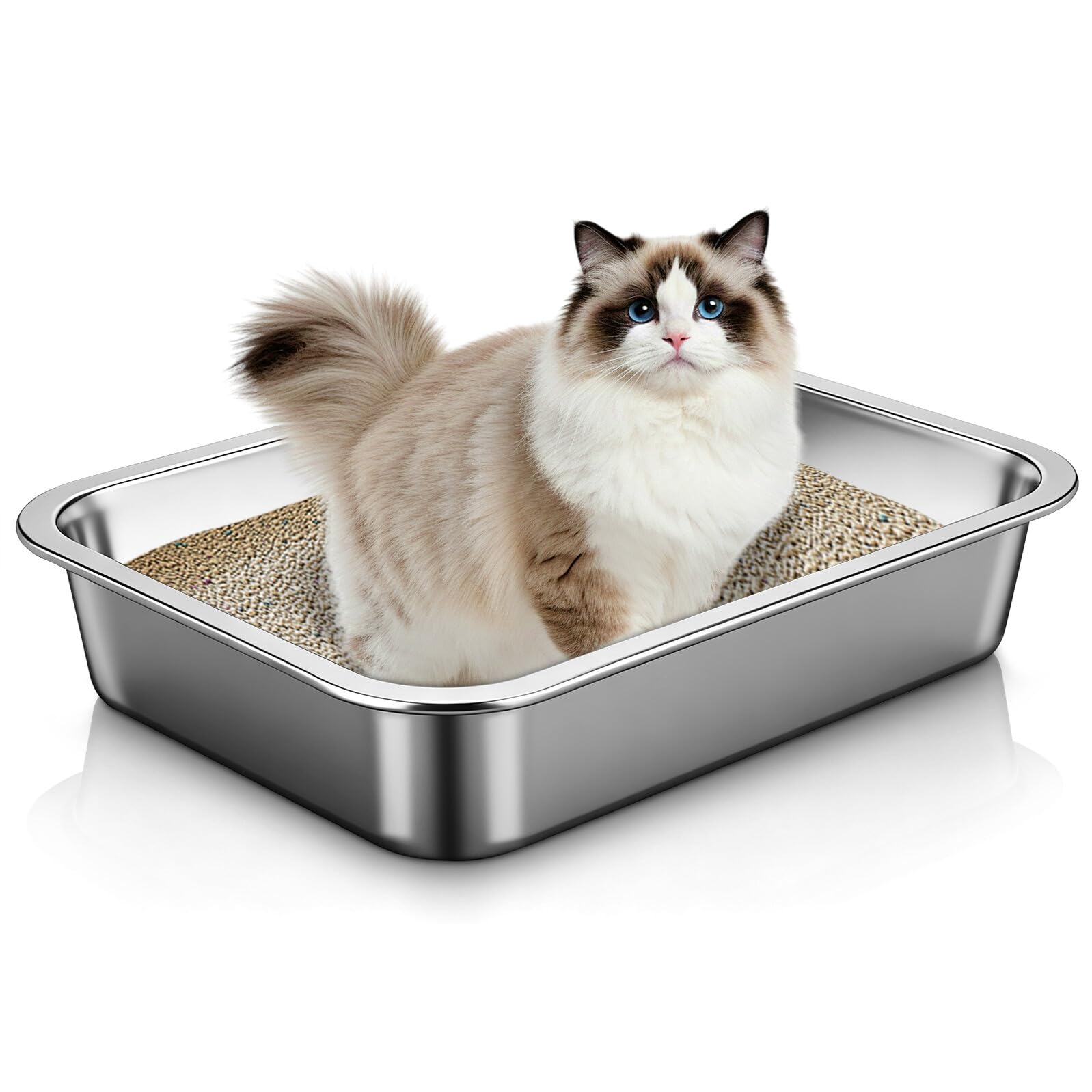 Generico Lettiera Aperta per Gattini in Acciaio Inox 304 senza Fori, Contenitore in Metallo Resistente 36x27x7 Cm, Toilette per Animali Domestici Ampio Spazio per Casa e Viaggio