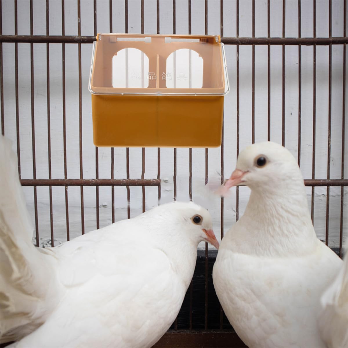 GALPADA Mangeoire Suspendue pour Cage à Oiseaux 3 Unités en Plastique Robuste, Double Compartiment, pour Alimentation de Calopsittes et Pigeons en Intérieur