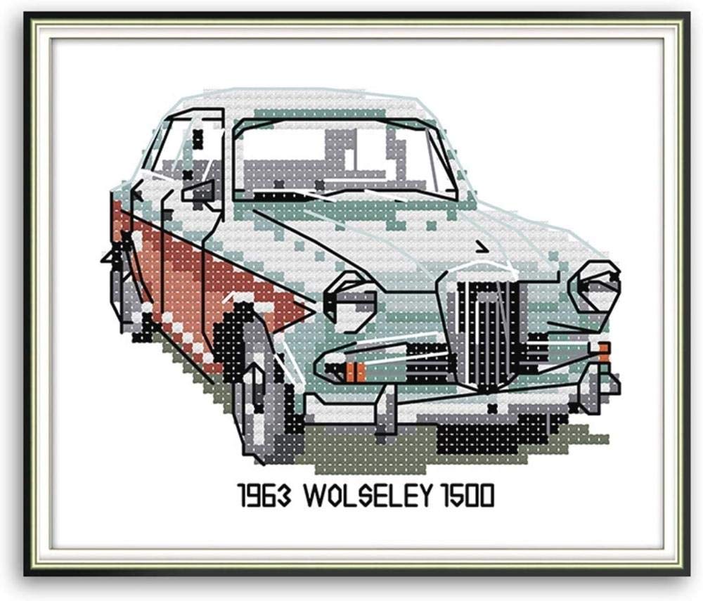 NYIXIA Point De Croix Kit Complet Adulte,Perroquet,dmc