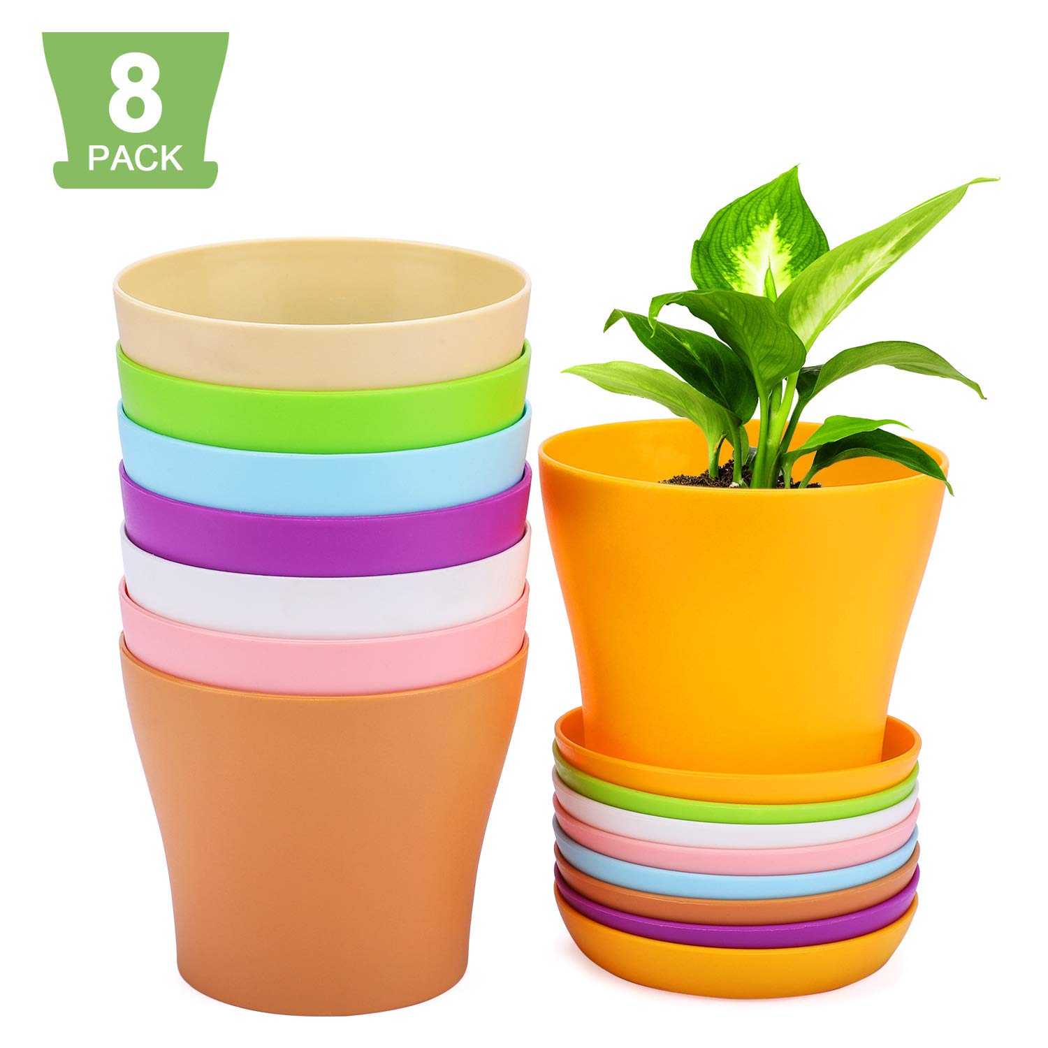 Buy 4inch Plastic ers Indoor, Set of 8 Flower Pots, Decorative