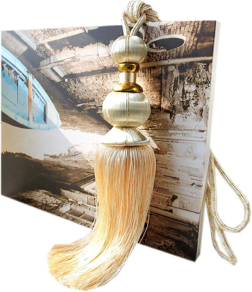 1 Pair Simple Tassels Curtain Tiebacks Curtain Buckle Holder Tassel Curtain Holdbacks for Living Room & Bedroom (Jujube red)