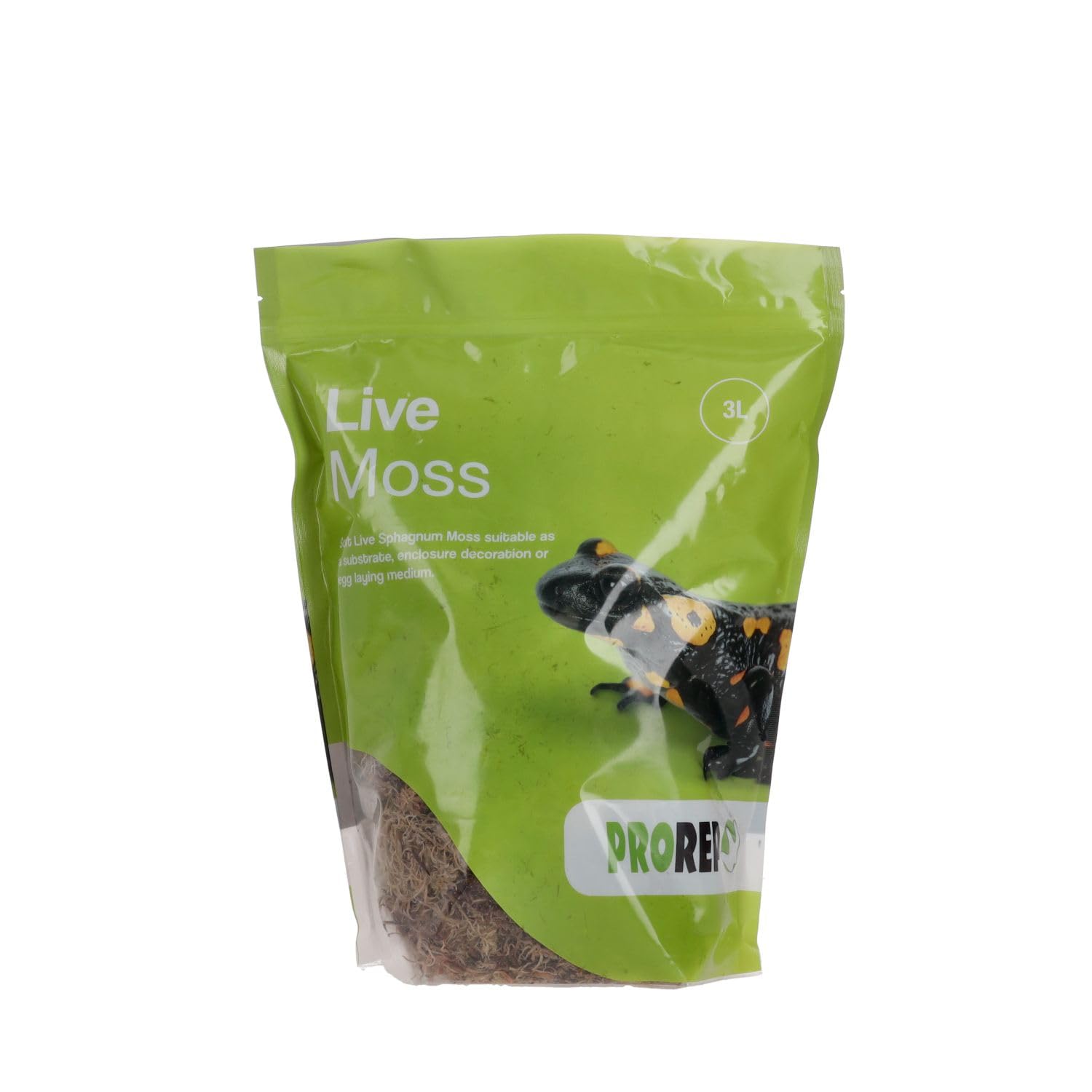 Live Moss 3L | Large Bag | Amphibians and Invertebrates