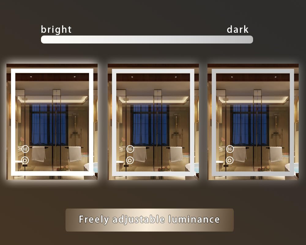 Panana Miroir LED Salle de Bains avec éclairage, LED Miroir de Vanité Muraux, Anti-buée, Vertical et Horizontal (60 x 100 cm)