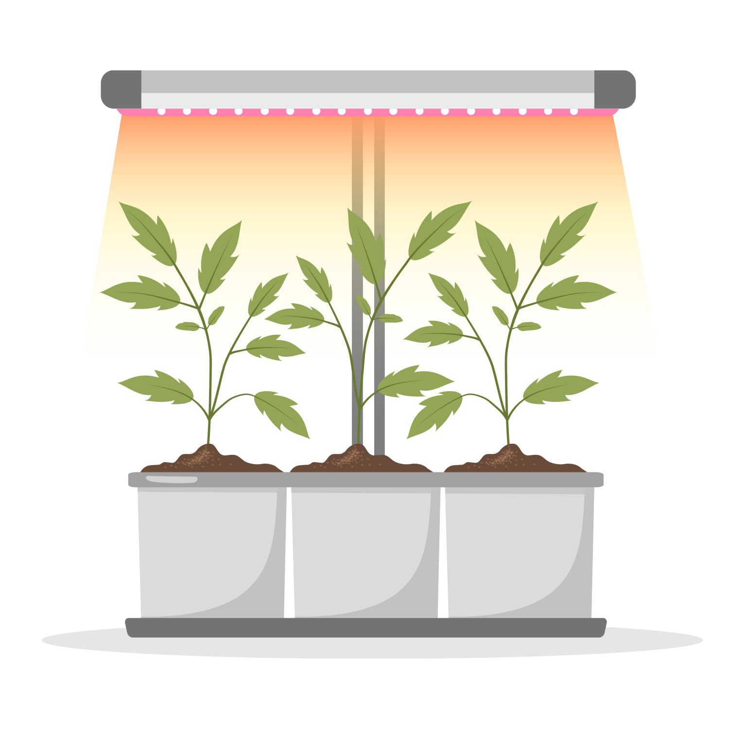 LED BLOOM 20W Pflanzenlampe LED, Vollspektrum Pflanzenlicht für Zimmerpflanzen, Höhenverstellbares LED- PflanzenwacSB-Laden (BLOOM 20W)