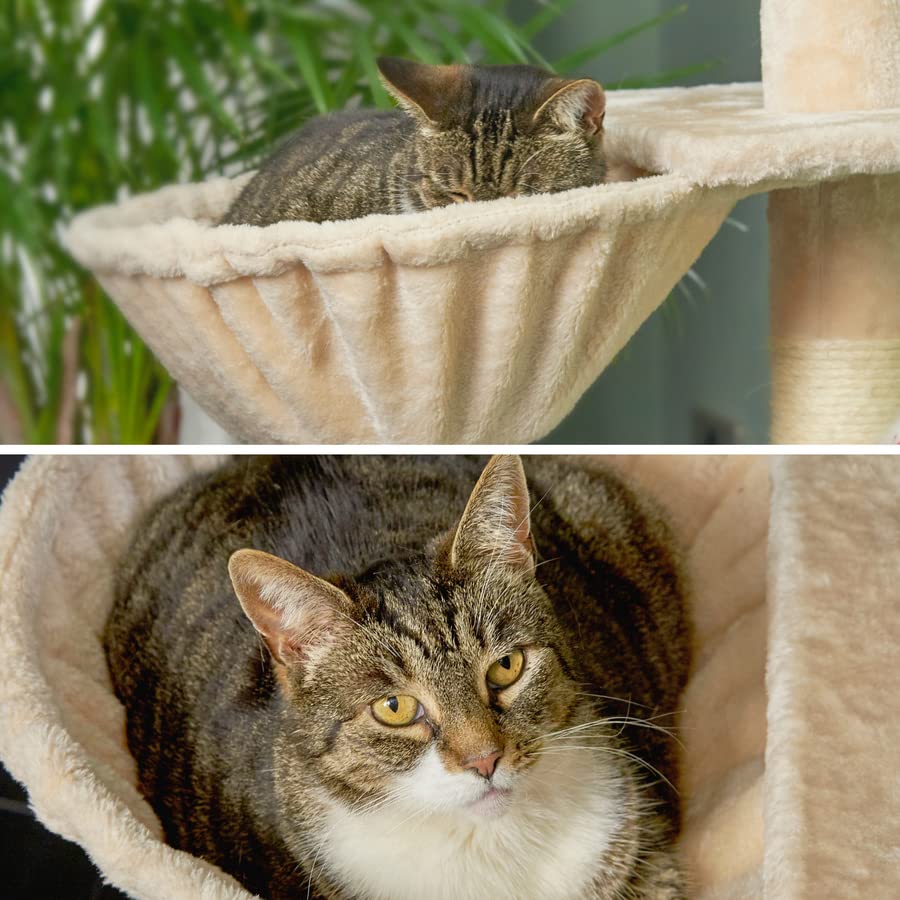 Buy Cat Tree Floor to Ceiling 240288cm with Plush Cat Hammock, Bed