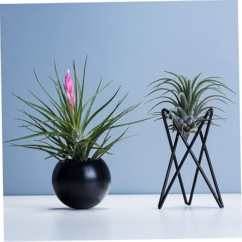 Miniatura 4 de GANAZONO Tillandsia - Juego de 4 macetas colgantes de trípode para balcón, soporte para plantas de alta resistencia, organizador de escritorio en