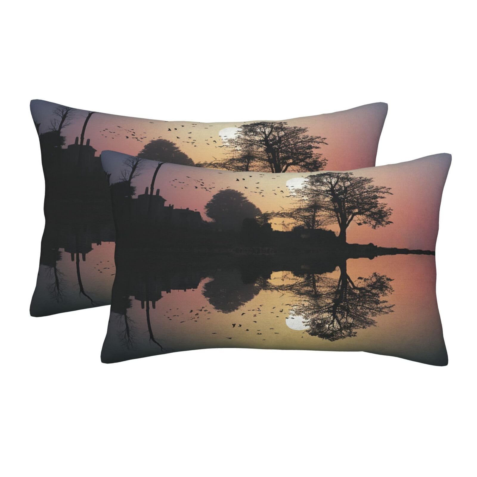 2 Pack Pillow Cases with Hidden Zipper, Soft Breathable Pillow Covers for Hair and Skin, Reflection Guitar Pillowcases 20"x30" Bed Pillow Protectors Cover for Sleeping Gifts