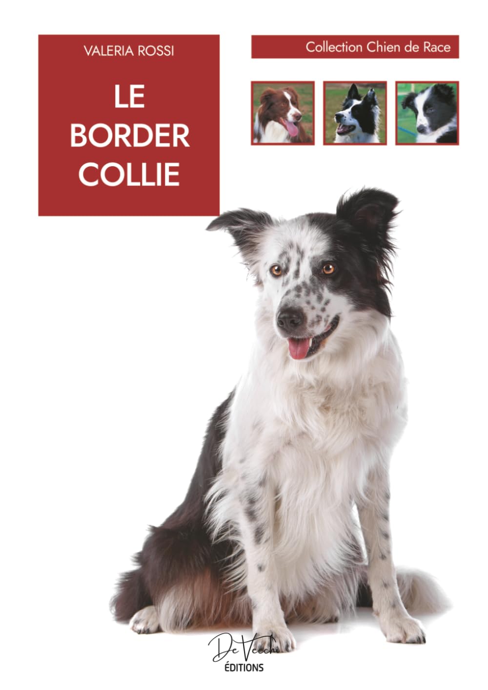 Le Border Collie: intelligence, éducation, alimentation et soins au quotidien