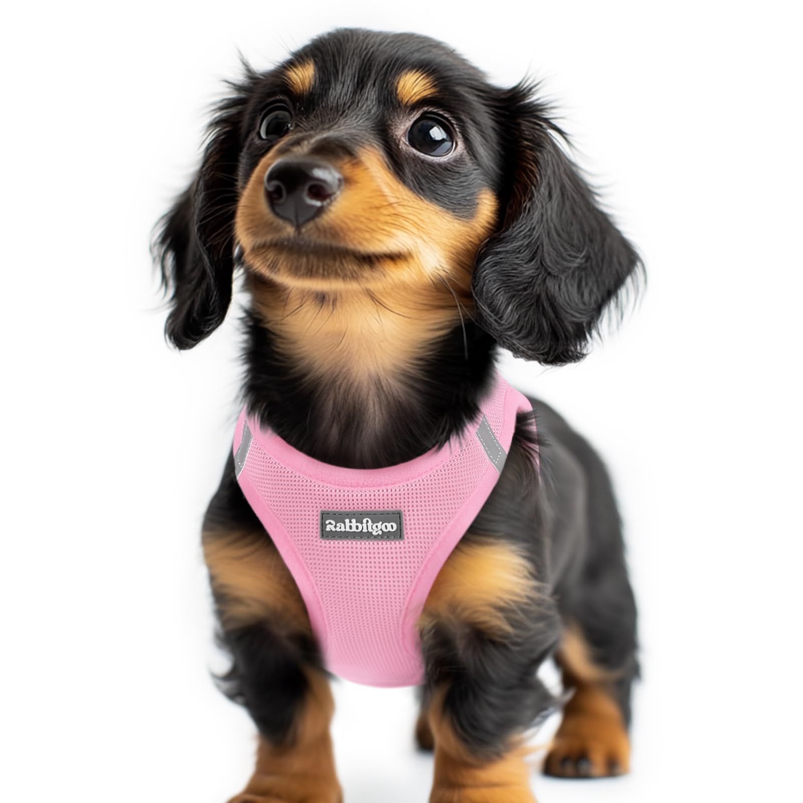 rabbitgoo Dog Harness Small Dog, Step-in Soft Mesh Puppy Harness with Reflective Strips, Lightweight Breathable Pet Vest for Walking Training, Light Pink, XXS