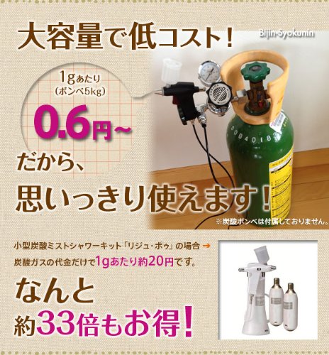 みのきち業務用炭酸ミスト 美容 エステ サロン Amazon.co.jp: 炭酸ミスト【業務用】炭酸ミストシャワーをプロユースに