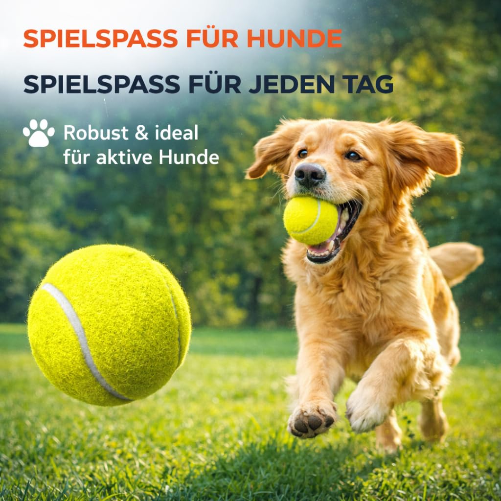 6X balles de Tennis Jaunes avec Sac de Transport, idéales pour entraînement, compétition, Chiens et Machine à Laver