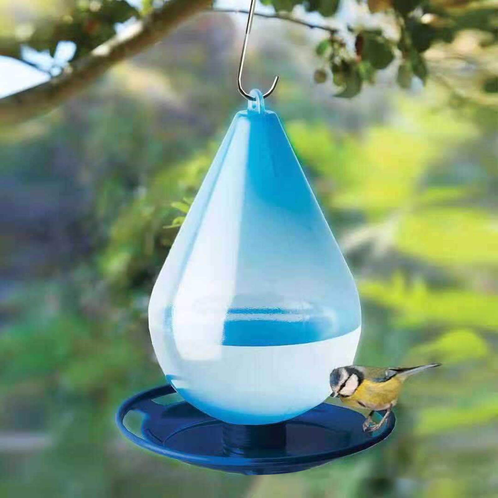Abreuvoir pour oiseaux sauvages à suspendre pour jardin extérieur