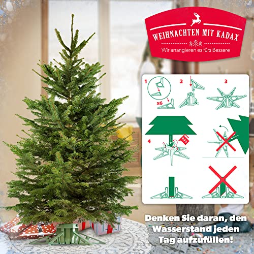 KADAX Kerstboomstandaard met waterreservoir, moderne kerstboomstandaard van robuuste kunststof voor bomen, dennenboomvoet, verschillende groottes, stabiel, groen - Image 6