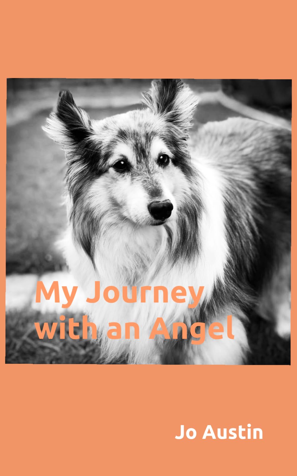 My Journey With An Angel