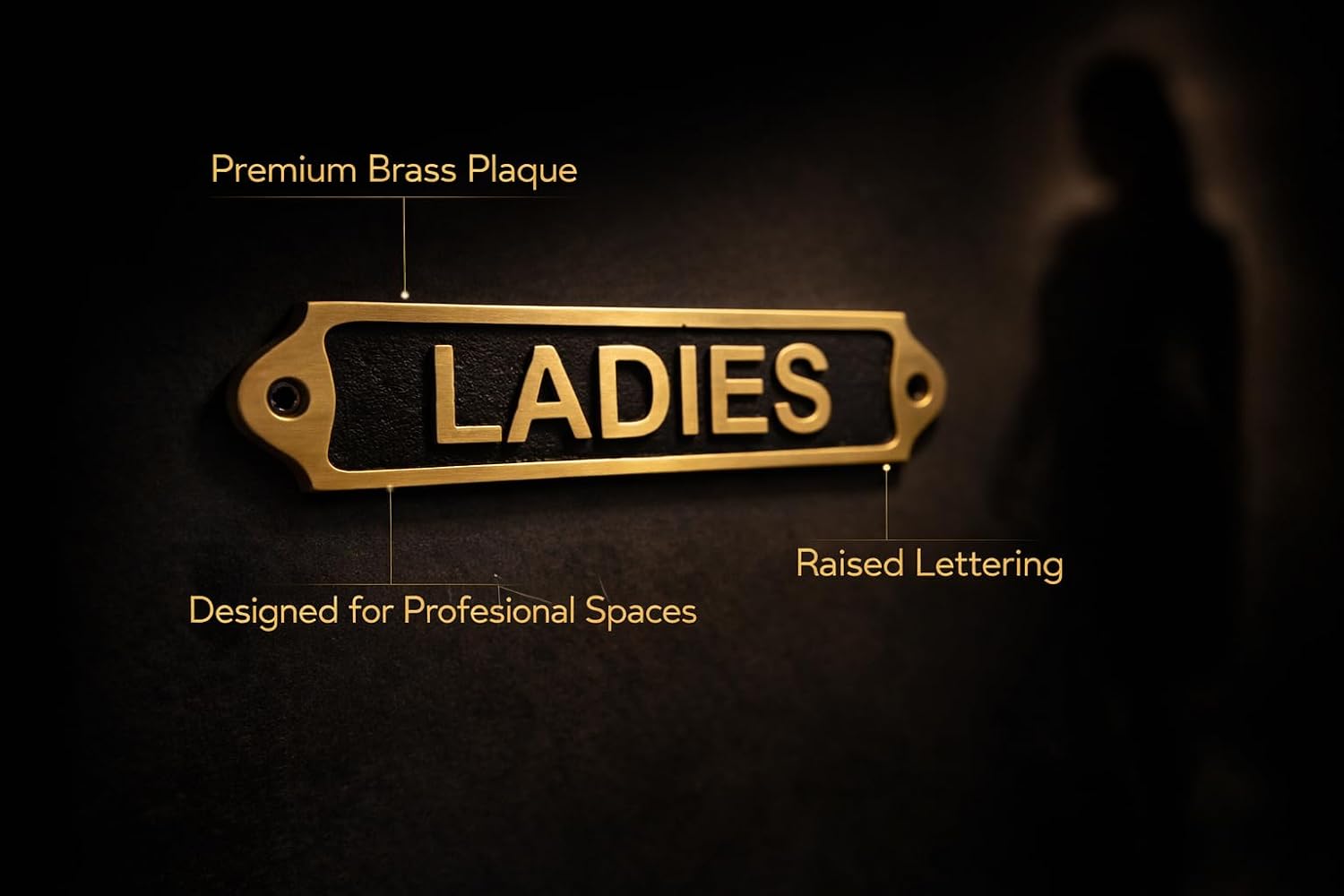 LADIES Brass with Black Door Plaque Sign | Metal Toilet Washroom Door Sign with Engraved Lettering | Wall & Door Name Plate with Mounting Screws for Home Office Shop | 22 x 5 cm | LADIES