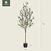 Product Photo 6