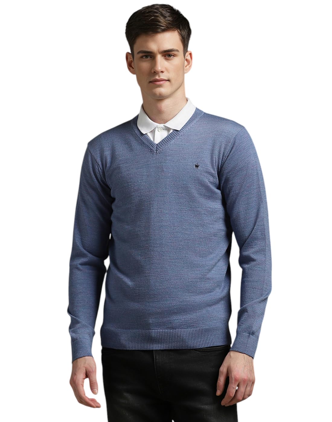 louis philippe Men Sweater-picture-49