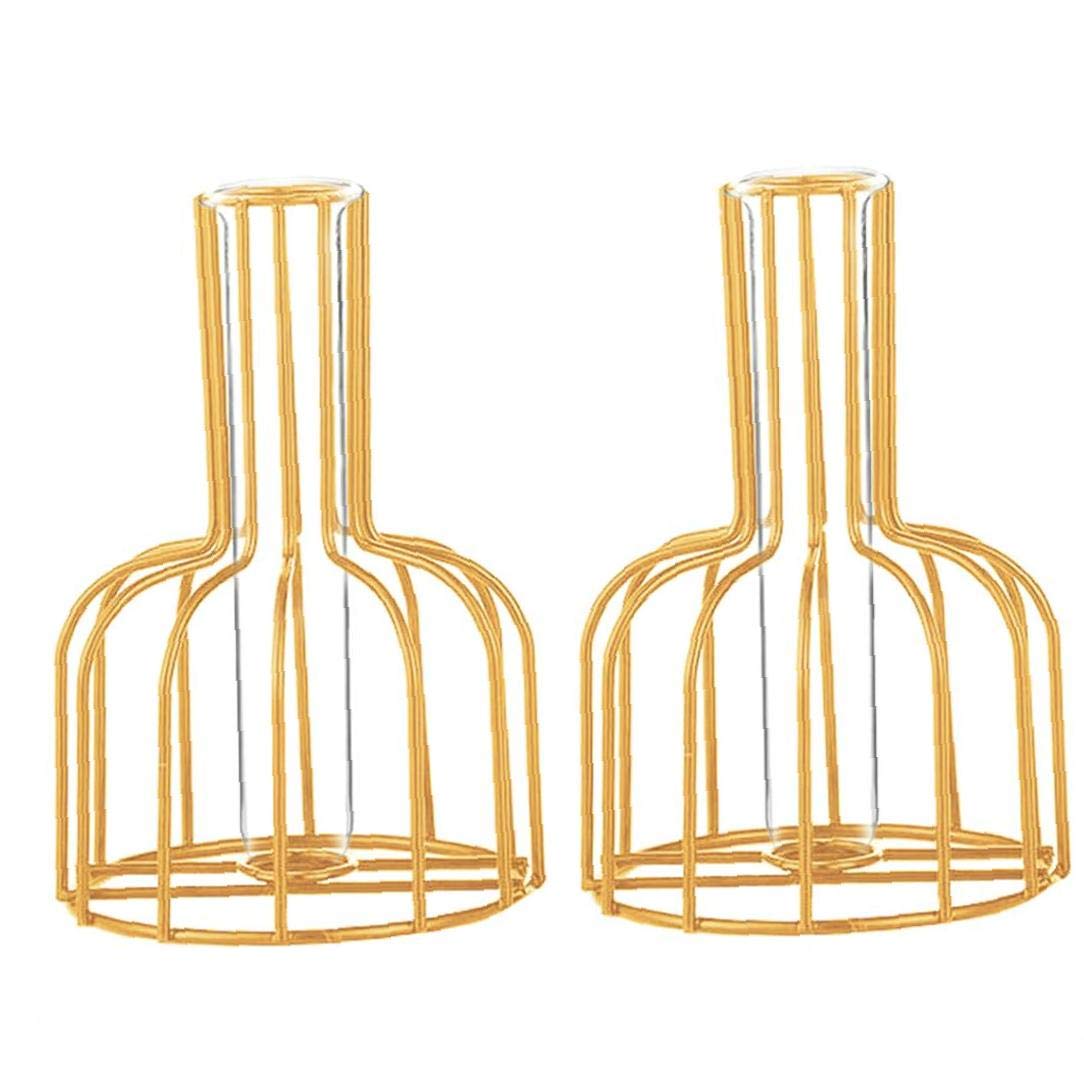 VHJdtE Metal vases, With Metal Frame for Hydroponic Plant