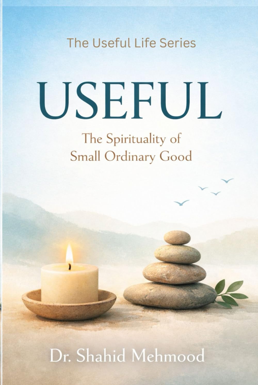 Useful: The Spirituality of Small Ordinary Good (The Useful Life Series)