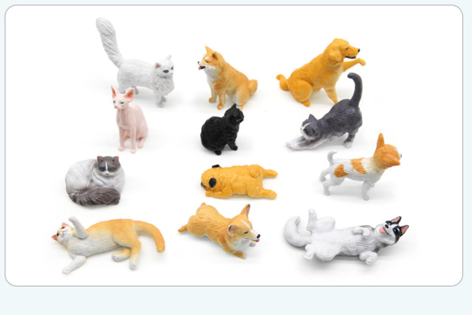 Mini animaux sauvages AMITD : lot de 12 figurines et cadeau d'anniversaire