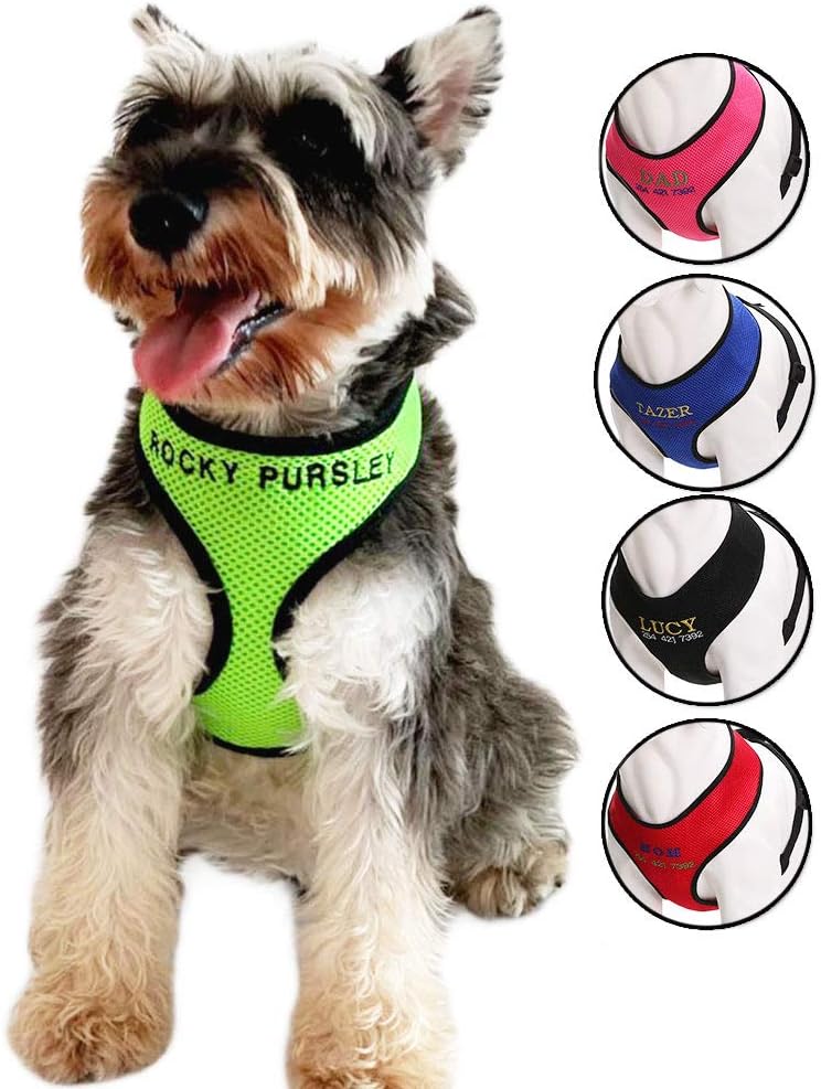 maglia per cani raiders