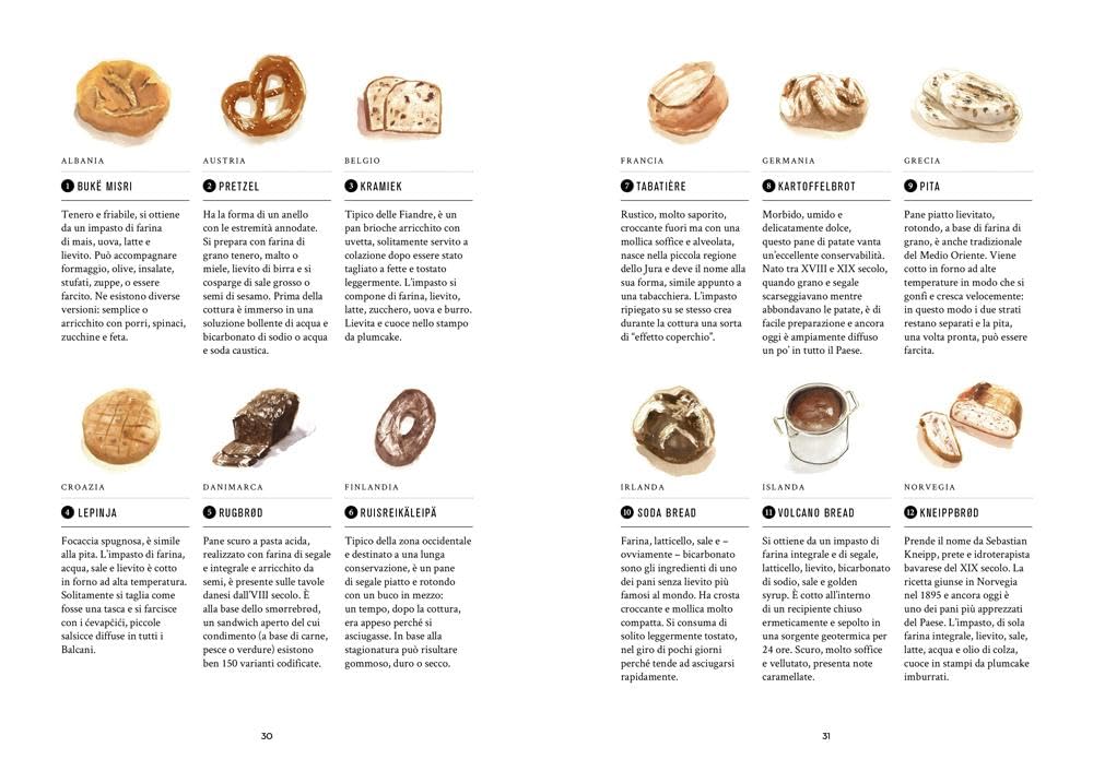 Tutto il mondo del pane. 400 pani. 70 ricette. Scuole, tecniche, lieviti madre nei cinque continenti