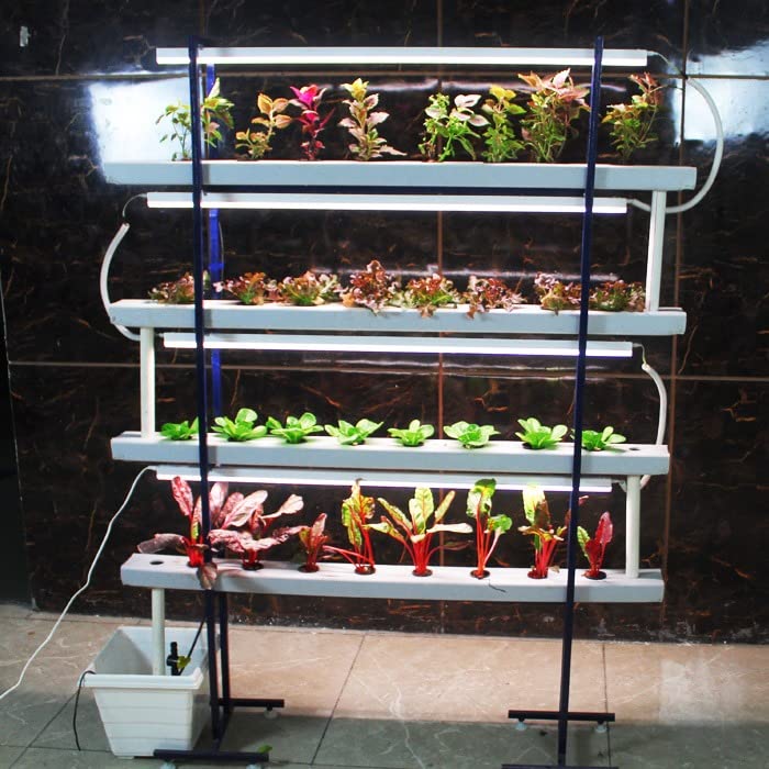 32 Plants Indoor Hydroponic System | Elegant for grow all types of vegetables specially Leafy Plants like lettuce,mint,sage,oregano etc at Home, Living Room, Kitchen, Balcony, Office Decor.-image-16