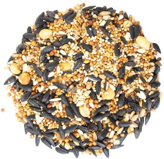 BestNest Wild Bird Seed Mix, Firebird Blend, 25 lbs.