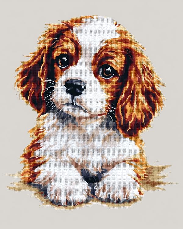 Kit point de croix Cavalier King Charles 11CT imprimé - Canevas broderie chien 40x50cm