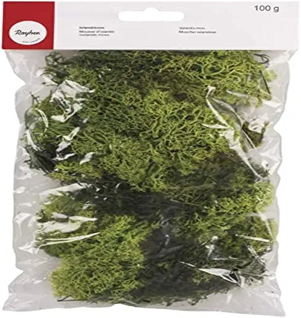 Musgo Preservado Verde Claro para Terrario - 100g sin Mantenimiento