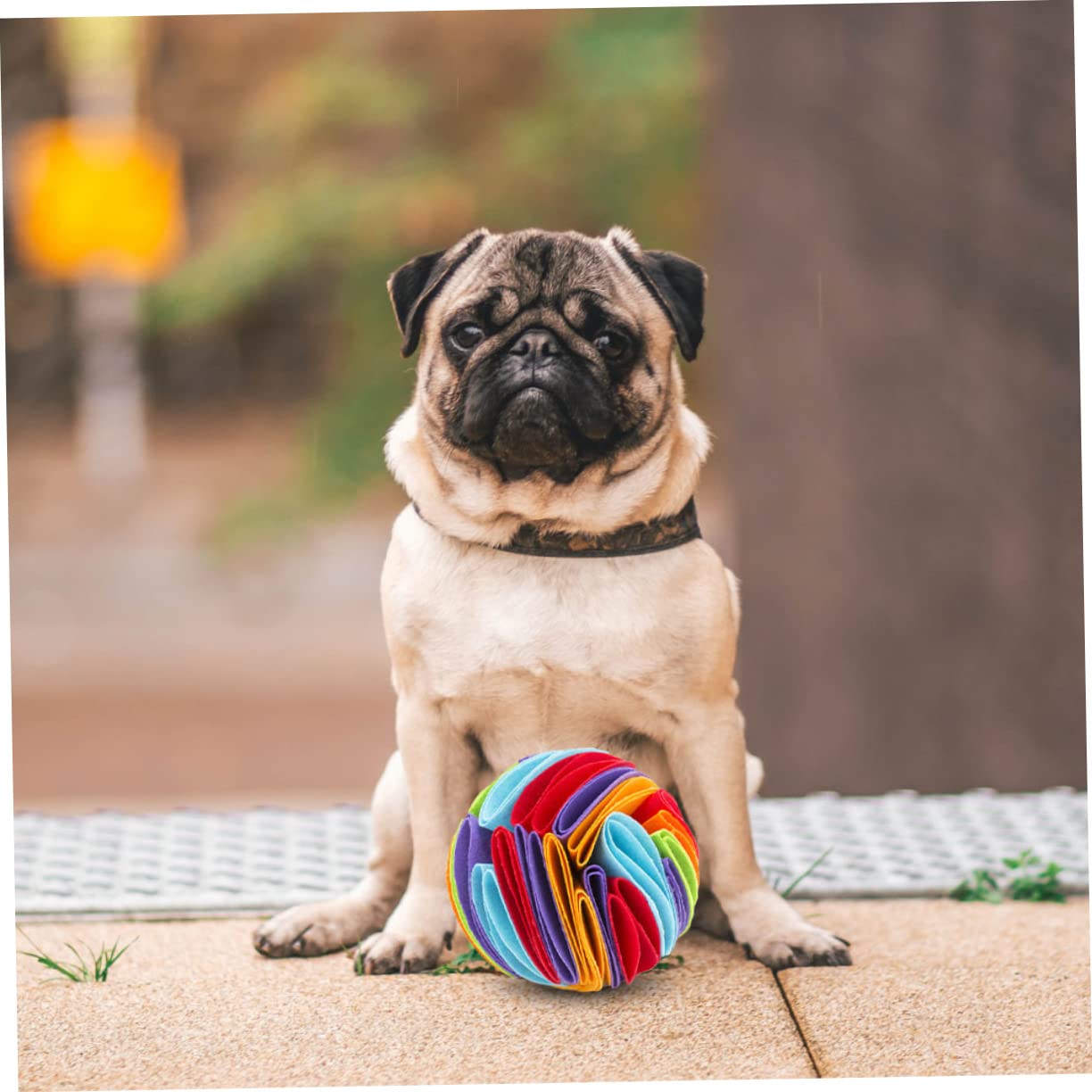 WOONEKY 3 Stücke Welpen Spielzeug Hund Zahnen Snuffle Spielzeug Langsam Feeder Für Hunde Filz Pet Molaren Beulen