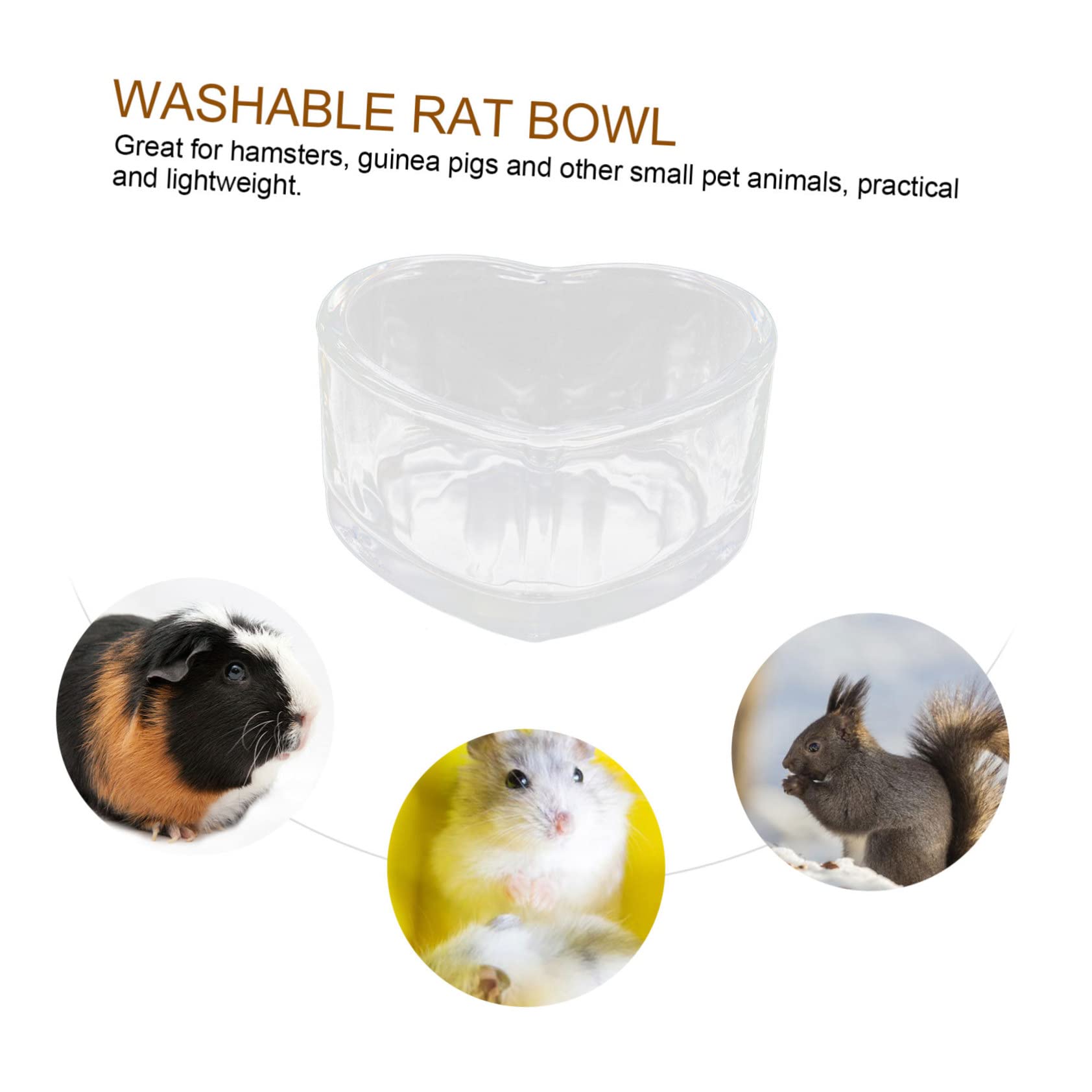 SUPVOX 8 Pz Ciotola Per Cibo Per Criceti Cavia Accessori Per Terrari Ciotola Per Topi Ciotola Per Cibo Per Porcellini D'india Ciotola Di Cibo Faraona Cibo Per Topi Transparent Bicchiere